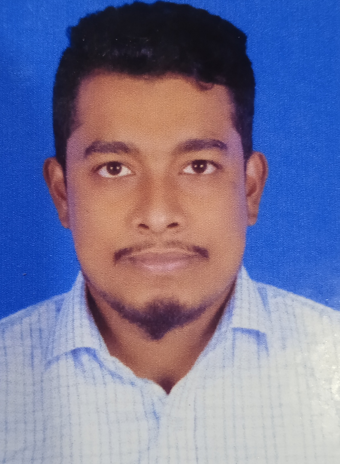 মো তমাল হোসেন