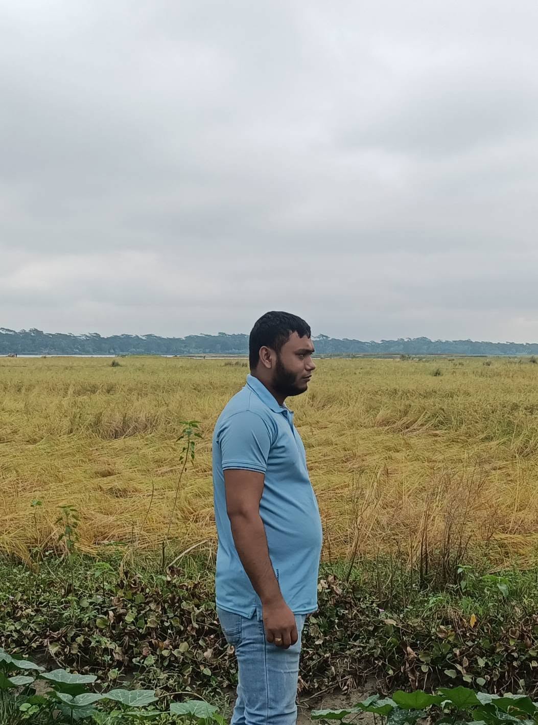 হোসেন চৌধুরী